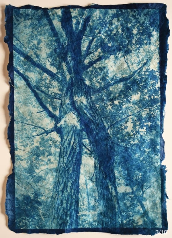 Mika Horie, Under Two Shades of Trees, 2020