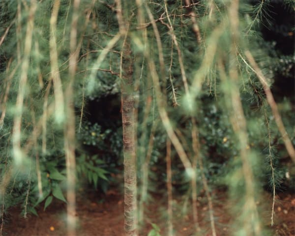 Yoko Ikeda, 0978-04 Minato Ward, Tokyo, 2012