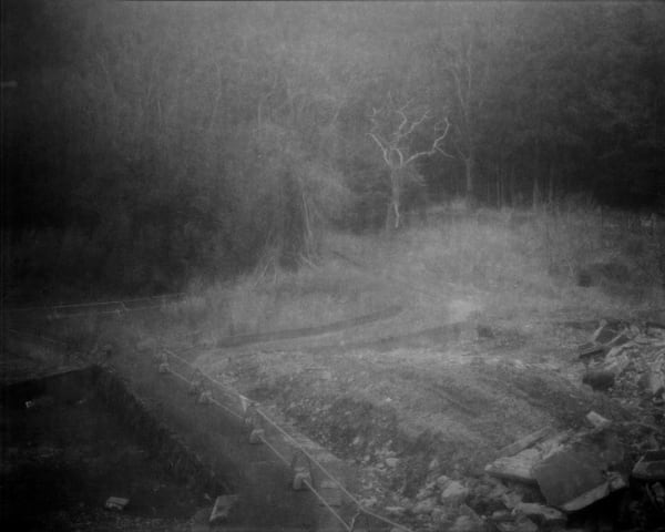 IBASHO Photo Competition 2016, Mayumi Suzuki - Untitled, from The Restoration Will, 2015-2016