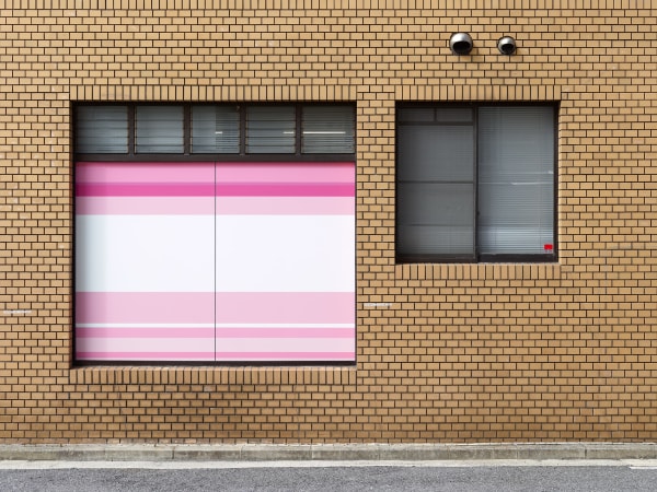 Bert Danckaert, True Nature #117 (Hiroshima), 2019