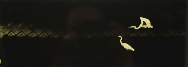 Naohiro Ninomiya, Glanage-35, 2020