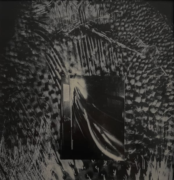 Sayako Sugawara, WHY-Y, 2018