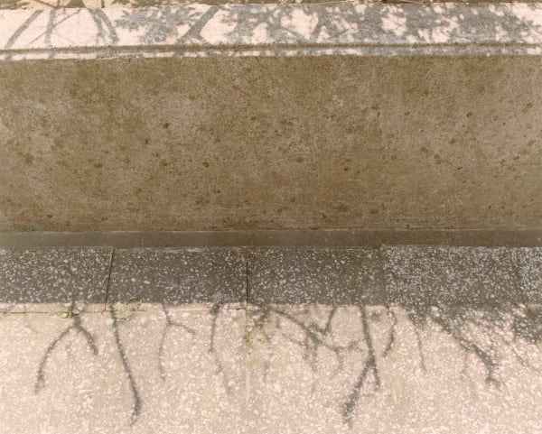 Yoko Ikeda, 1860-10 Yokosuka City, Kanagawa Prefecture, 2020