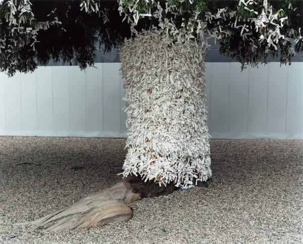 Yoko Ikeda, 1165-04 Izumo City, Shimane Prefecture, 2014