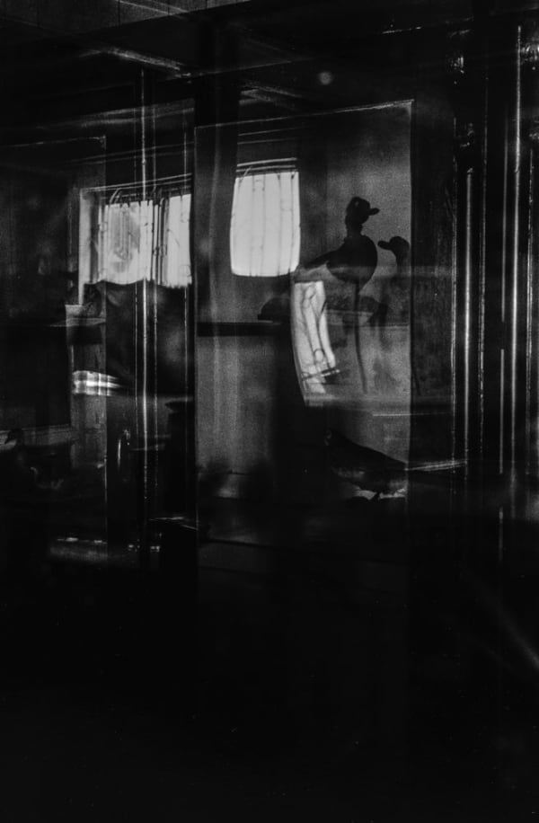 Hitoshi Fugo, 'BLACKOUT' #54, 1983