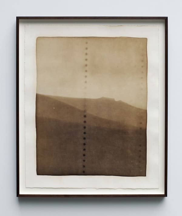 Vera van Almen, Whispers of the Arid, 2021