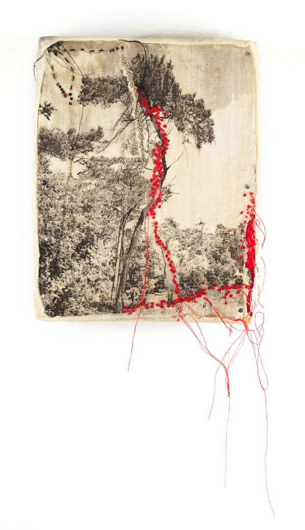 Jackie Mulder, Thought Trails 534