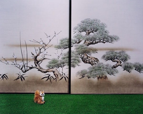 Takashi Yasumura, A Squirrel, from the series 'Nature Tracing', 2001