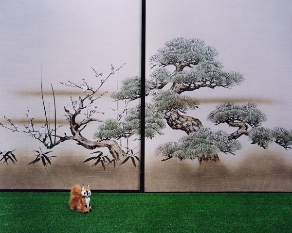 Takashi Yasumura, A Squirrel, from the series 'Nature Tracing', 2001