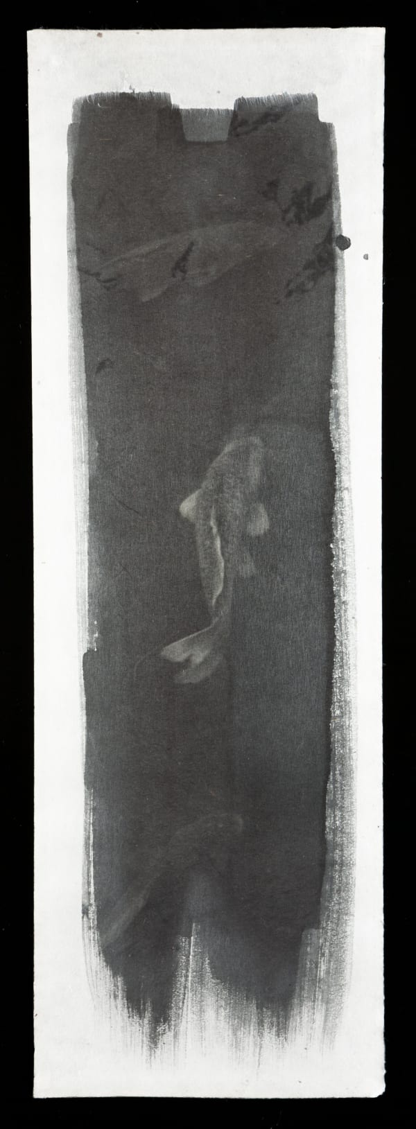 Naohiro Ninomiya, Nokomi-3, 02/03/2017, 2017