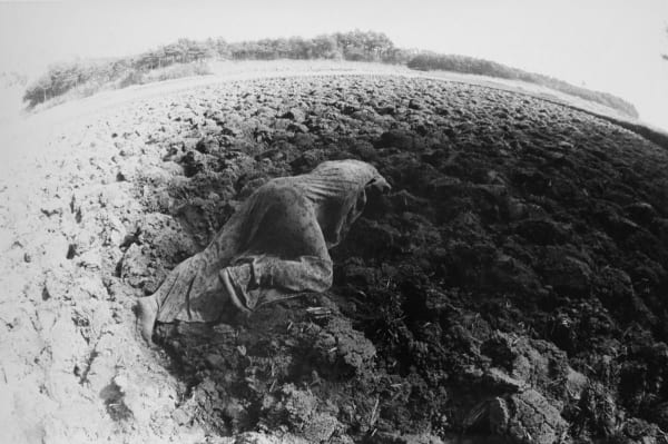 Eikoh Hosoe, Kamaitachi #16, 1968