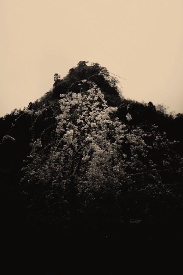 Albarrán Cabrera, The Mouth of Krishna #167, 2014