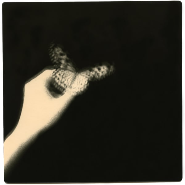 Miho Kajioka, BK0507, 2014