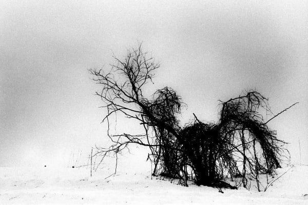 Hajime Kimura, Matagi 25, 2007-2013