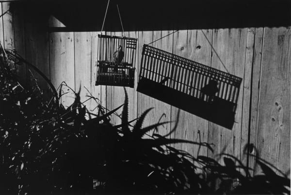 Asako Narahashi, Untitled (Plate 1067), from Nu-e, 1992/2017