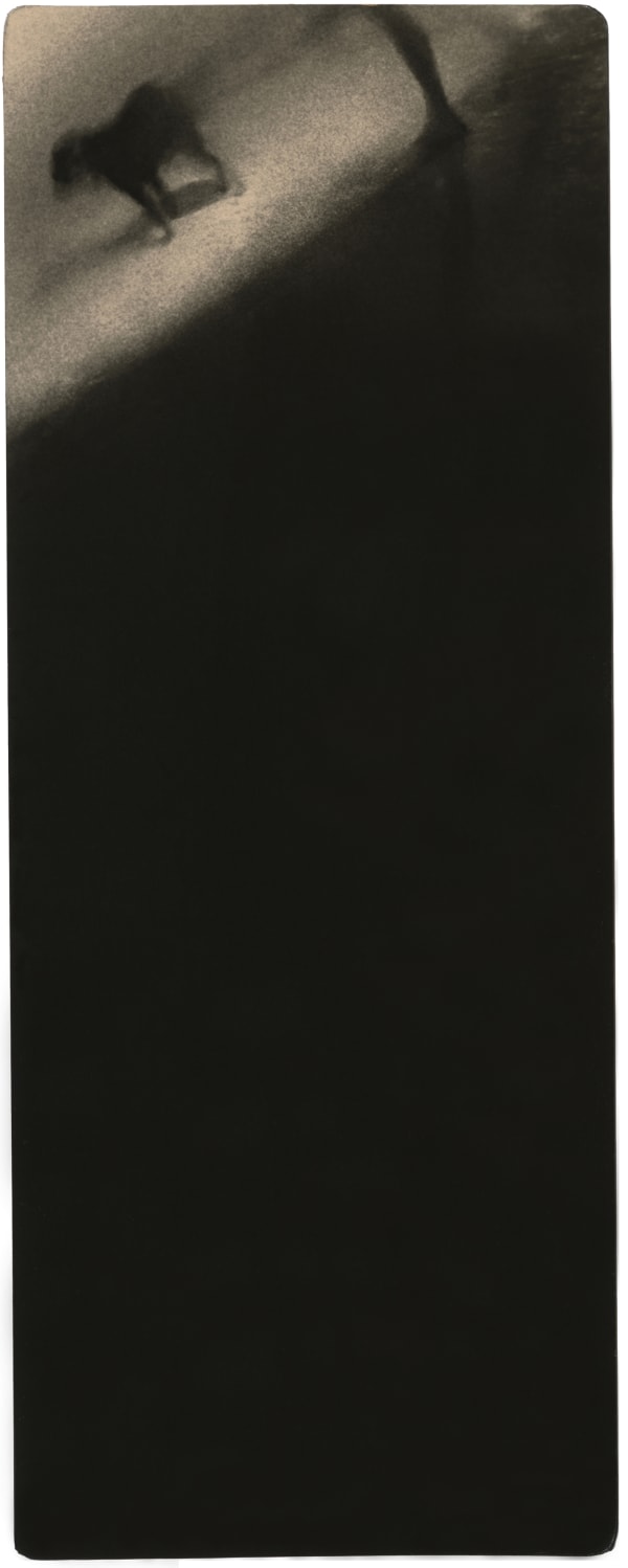 Miho Kajioka, BK0600, 2020