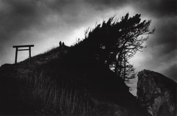 Akiko Takizawa, Torii on the Hill, 2009