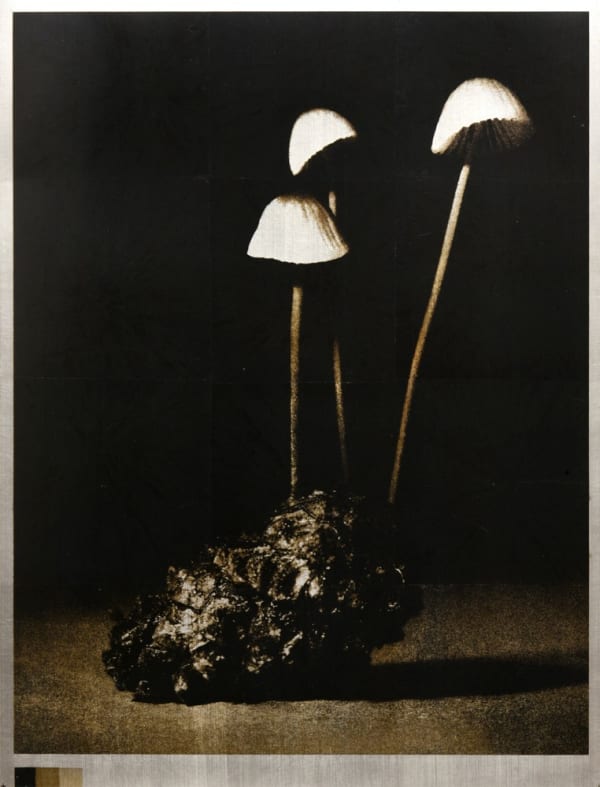 Norio Takasugi, KZR-1, 2022