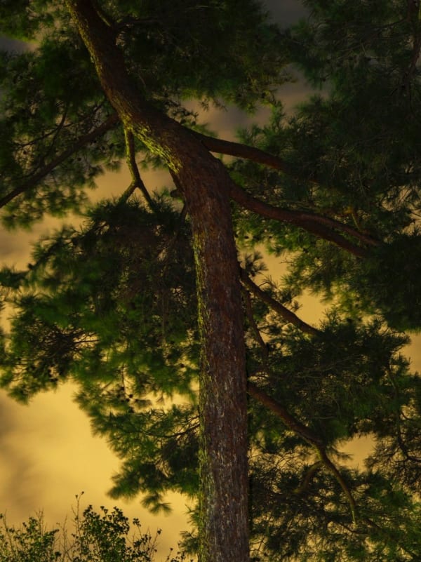 Yoshinori Mizutani, Moonlight 12, 2014