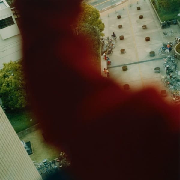 Mikiko Hara, Untitled, 2004 from Fringes of Articulation (#121), 2004