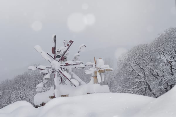 Asako Shimizu, Storyteller #11, 2012-2014/2022
