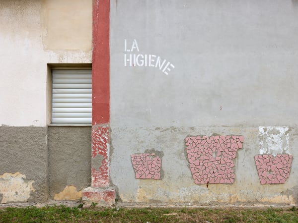 Bert Danckaert - True Nature #175 (Havana), 2022