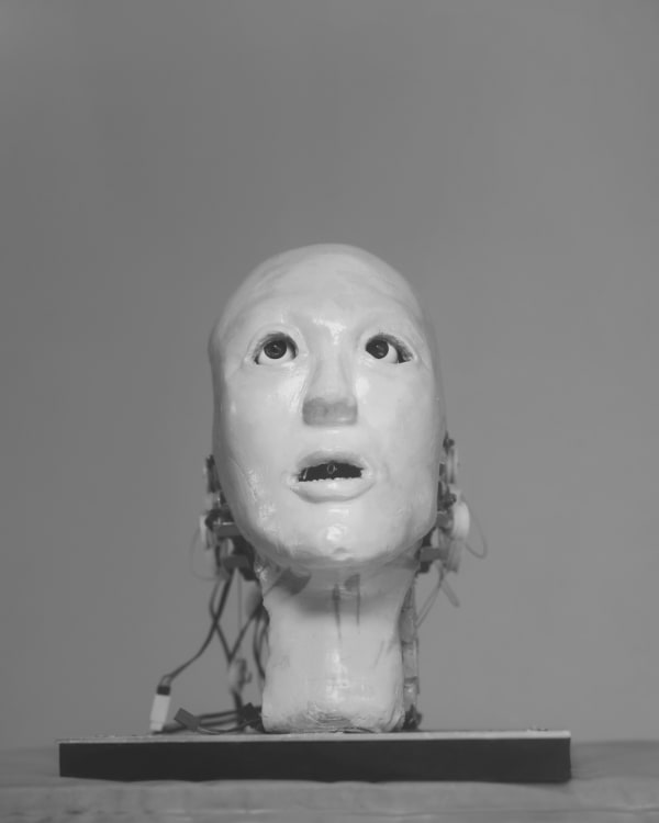 Wanda Tuerlinckx, Kansei, Meiji University's Robot & Science institute, Kawasaki, Japan, 2017