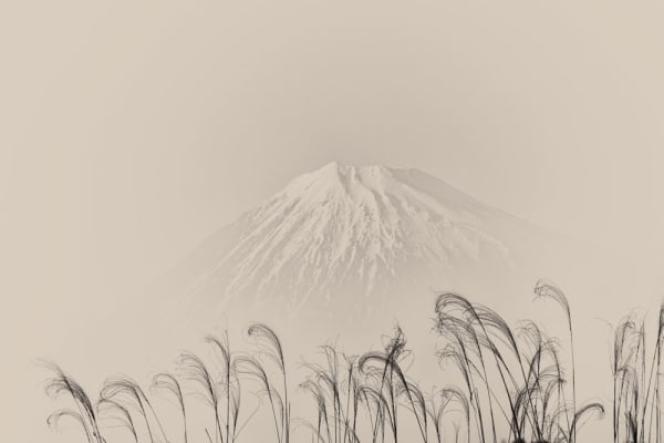 Albarrán Cabrera, The Mouth of Krishna #754, 2018