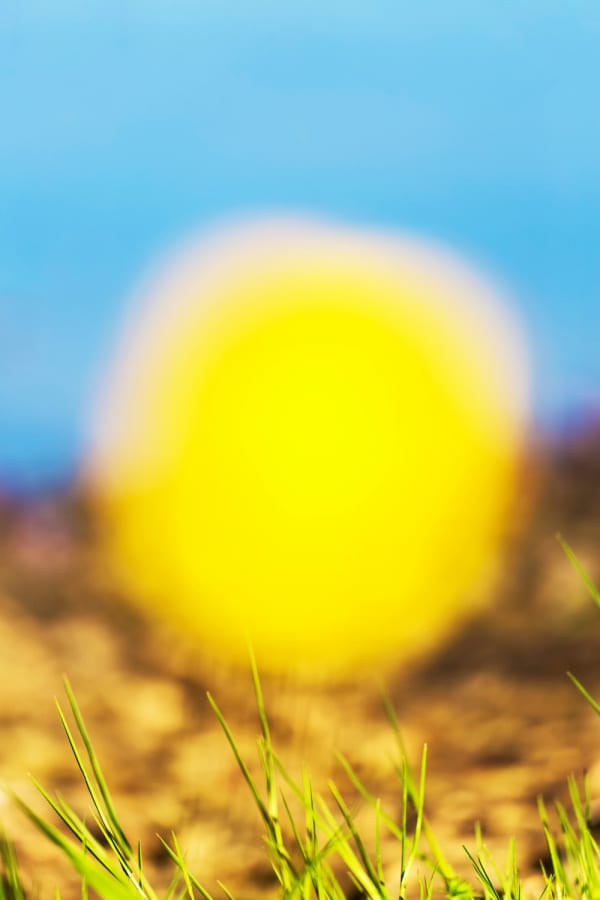 Yoshinori Mizutani, Voices of Flowers 033, 2016