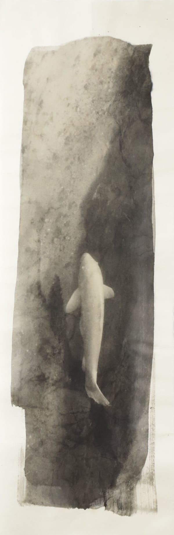 Naohiro Ninomiya, Nokomi-29, 2023