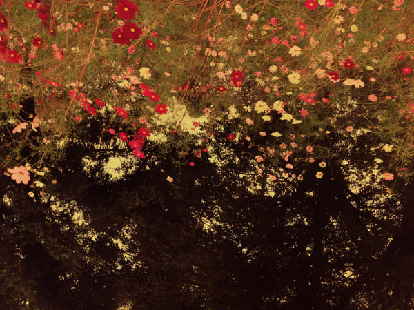 Albarrán Cabrera, The Mouth of Krishna #532, 2016/2023