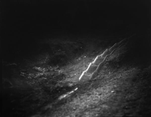 IBASHO Photo Competition 2016, Mayumi Suzuki - Untitled, from The Restoration Will, 2015-2016