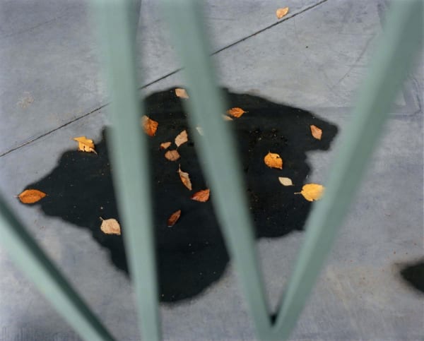 Yoko Ikeda, 1118-06 Antwerp, Belgium, 2013