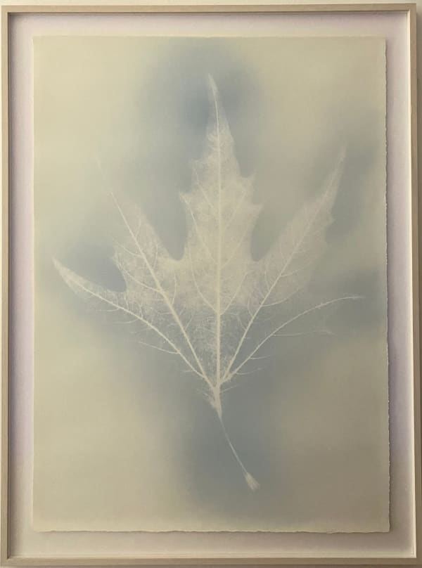 Hideyuki Ishibashi, ATLAS #6, Platanus, 2021