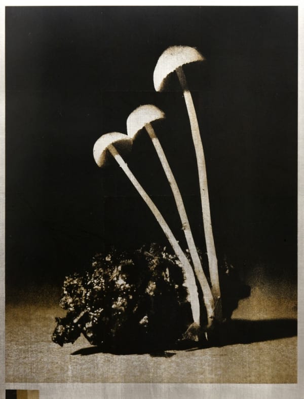 Norio Takasugi, KZR-2, 2022