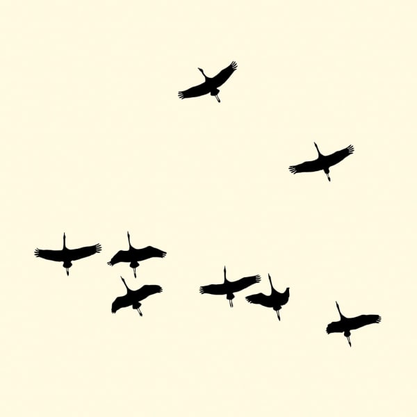 François Laxalt, Huit / Height, 2007