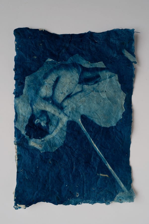 Mika Horie, Fuki VIII, 2024