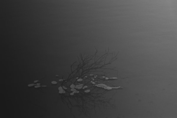 Elizabeth Alderliesten, Katio, 2022