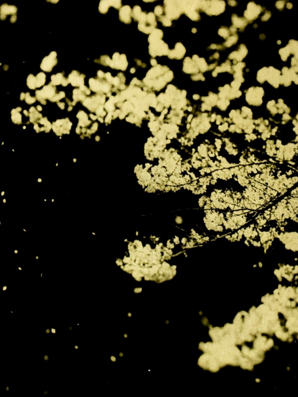 Naohiro Ninomiya, Glanage-61, 2022