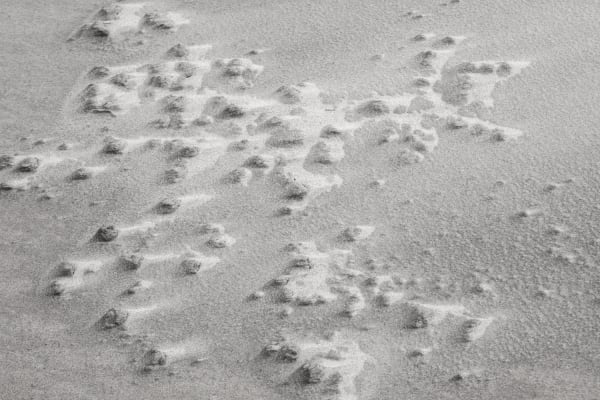 Yukari Chikura, Untitled, from Fluorite Fantasia, 2015