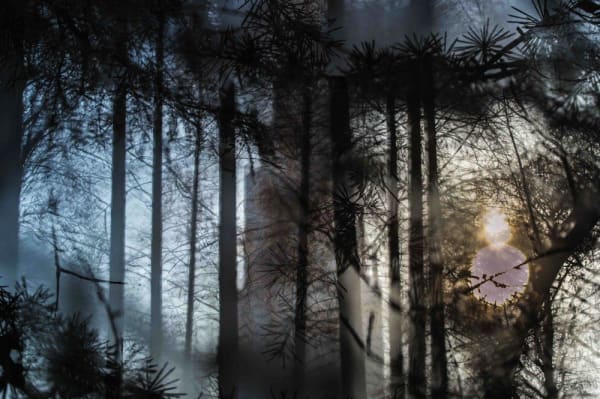 Toru Ukai, ?? - Interface/Interference #10, 2016