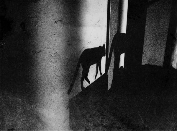 Tokyo Rumando, Untitled from 'S', 2018