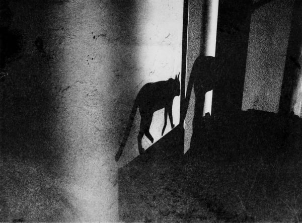 Tokyo Rumando, Untitled from 'S', 2018