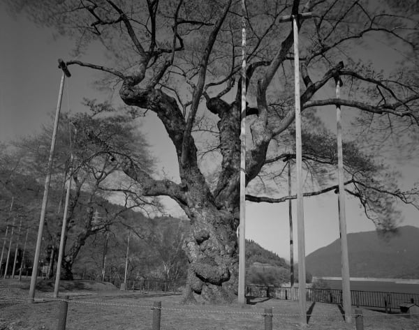 Keiichi Ito, Syukawa Gifu-ken, 2012