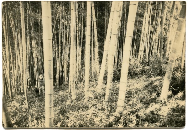 Miho Kajioka, BK0068, 2015