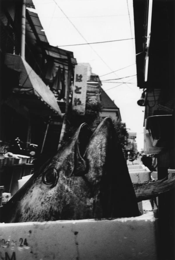 Asako Narahashi, Untitled (Plate 1032) (fish head), from Nu-e, 1994/2017