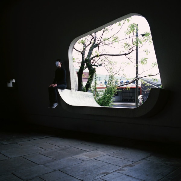 Sarah Van Marcke, Japan Mimicry 05, 2010