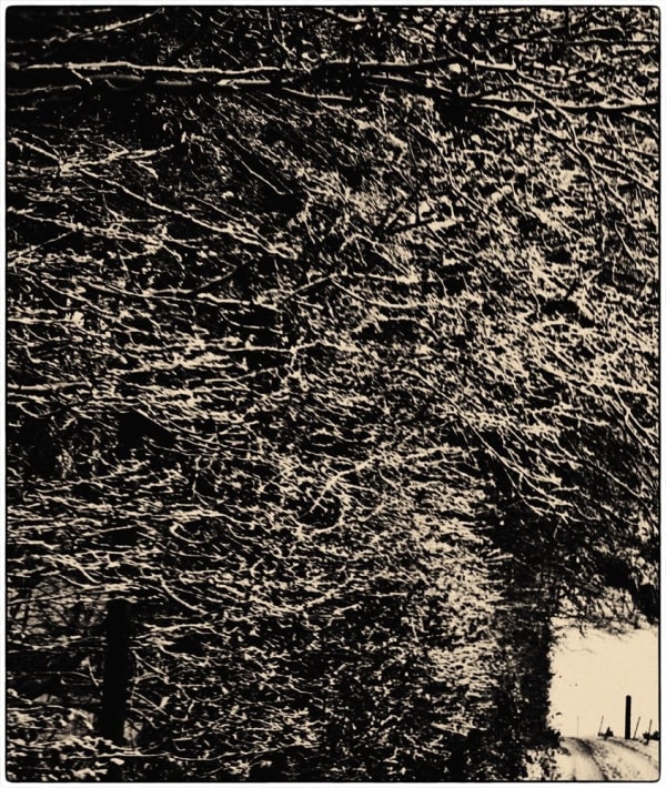 Albarrán Cabrera, The Mouth of Krishna #200, 2004/2017