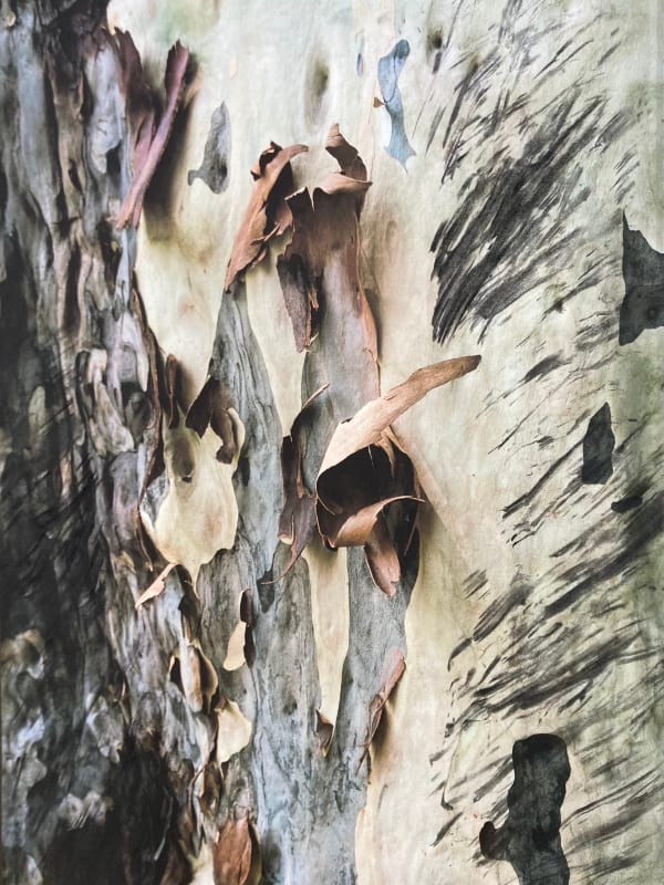 Morvarid K, This Too Shall Pass 2-18, 2022