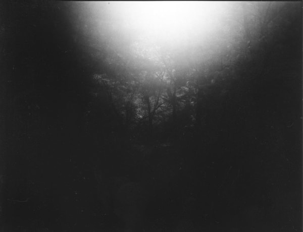 IBASHO Photo Competition 2016, Mayumi Suzuki - Untitled, from The Restoration Will, 2015-2016